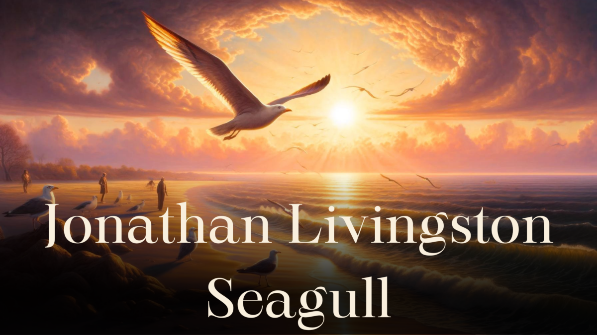 Jonathan Livingston Seagull (Allegory Explained) - Allegory Explained
